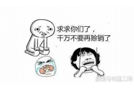 孝昌企业清欠服务